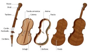 Parti del violino